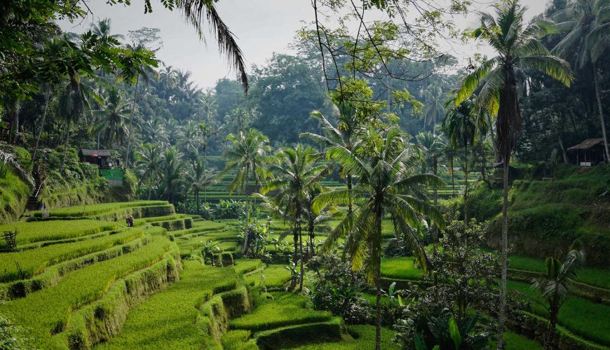 balitourvoyage ubud header