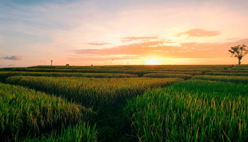 balitourvoyage canggu header