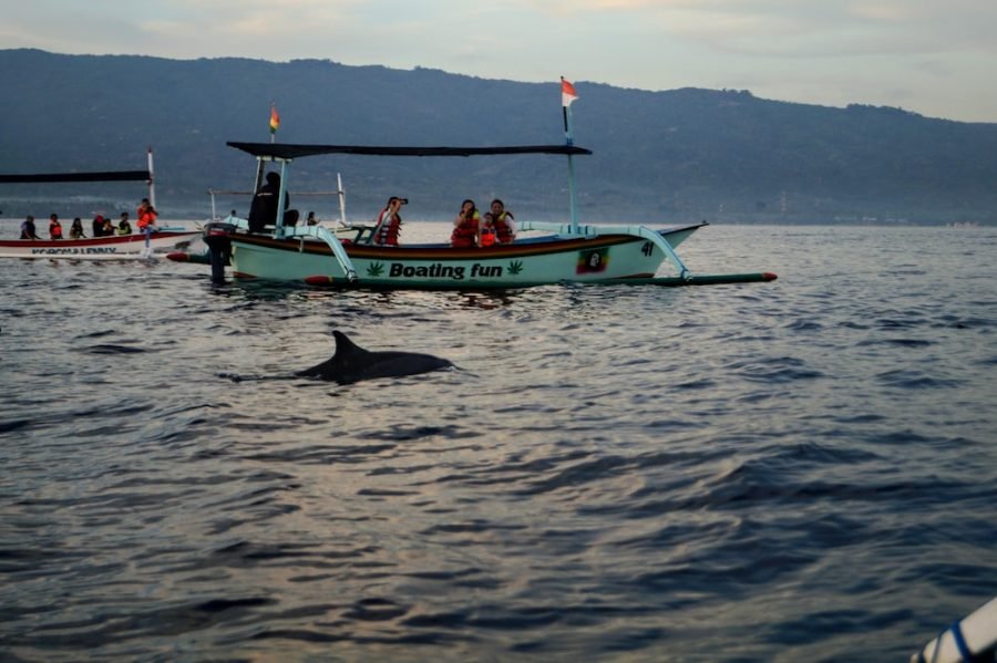 Lovina Beach Bali Dolphins