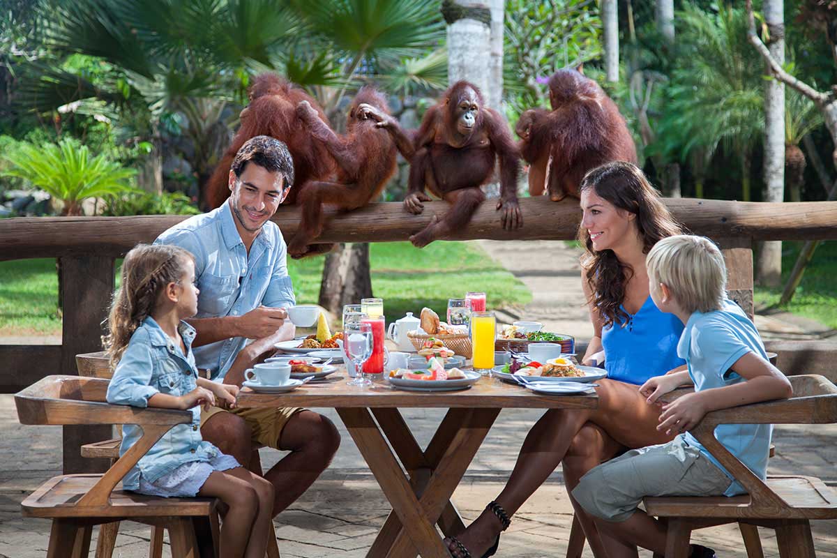 Bali Zoo - Orangutan