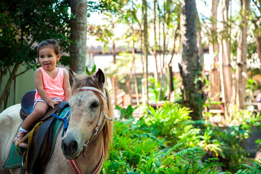 Bali Zoo - Riding a Pony