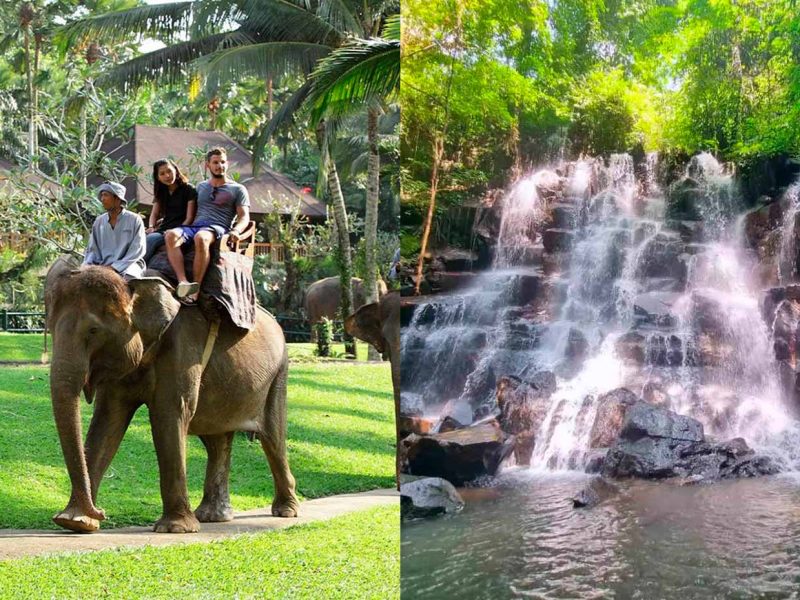 balitourvoyage elephant waterfall 