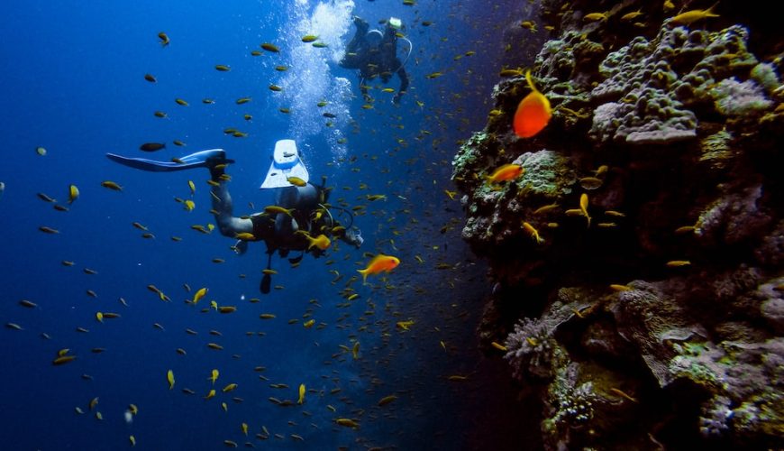 nusa penida diving